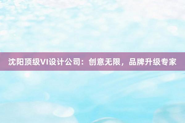 沈阳顶级VI设计公司：创意无限，品牌升级专家